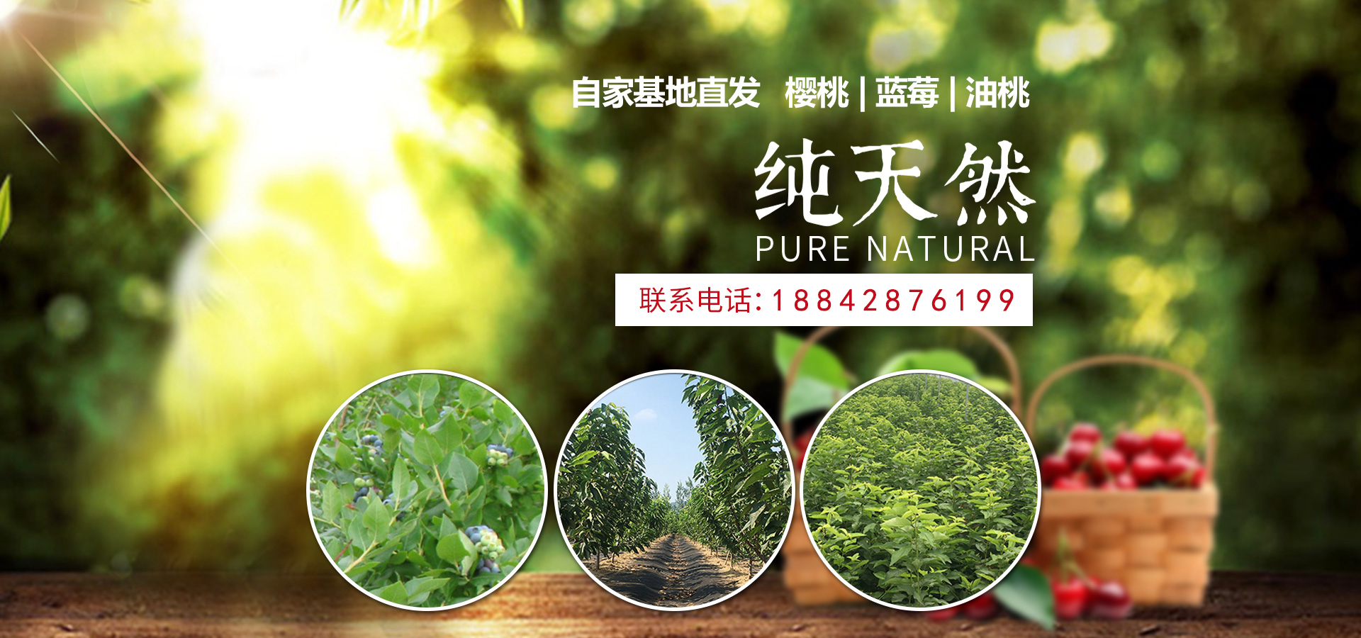 通欄圖片