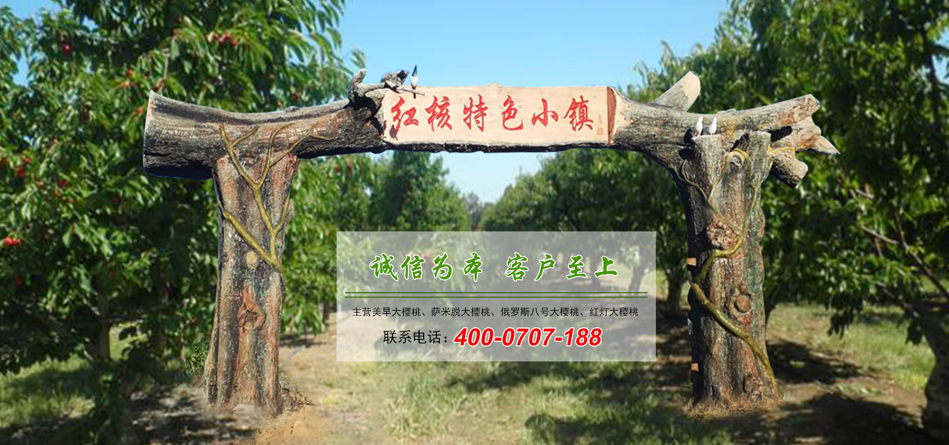 通欄圖片